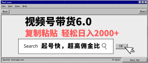 视频号带货6.0，轻松日入2000+，起号快，复制粘贴即可，超高佣金比-揽颜居工坊