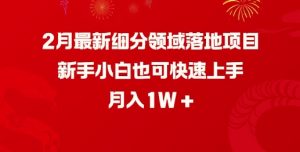 2月最新细分领域落地项目,新手小白也可快速上手,月入1W-揽颜居工坊