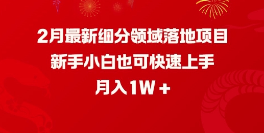 2月最新细分领域落地项目,新手小白也可快速上手,月入1W-揽颜居工坊