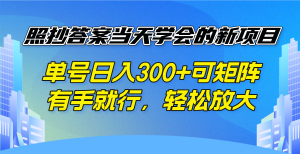 照抄答案当天学会的新项目，单号日入300 +可矩阵，有手就行，轻松放大-揽颜居工坊