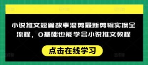 小说推文短篇故事混剪最新剪辑实操全流程，0基础也能学会小说推文教程，肯干多发日入多张-揽颜居工坊