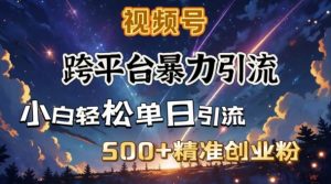 跨平台暴力引流，私域完美闭环，日引500+精准创业粉-揽颜居工坊