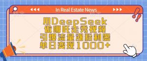 用DeepSeek做哪吒走秀视频,引爆流量涨粉利器,单日变现1k-揽颜居工坊