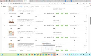 Allen老师·TikTok投流矩阵系统运营课程(更新2025)-揽颜居工坊