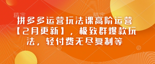 拼多多运营玩法课高阶运营【2月更新】，极致群爆款玩法，轻付费无尽复制等-揽颜居工坊