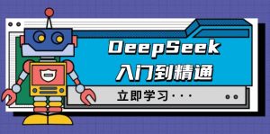 DeepSeek入门到精通，涵盖职场应用及身份扮演，驯服指南及顶级提示词-揽颜居工坊