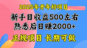 2025开年好项目，单号日收益2000左右-揽颜居工坊