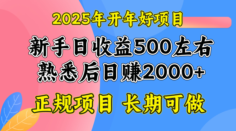 2025开年好项目，单号日收益2000左右-揽颜居工坊