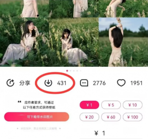 最新图虫搬运项目,收益无上限,利用AI小白也可日赚500+-揽颜居工坊