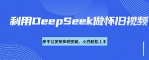 利用DeepSeek做怀旧视频，流量号多渠道变现能力强-揽颜居工坊