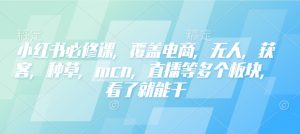 小红书必修课,覆盖电商,无人,获客,种草,mcn,直播等多个板块,看了就能干-揽颜居工坊