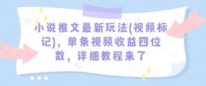 小说推文最新玩法(视频标记)，单条视频收益四位数，详细教程来了-揽颜居工坊