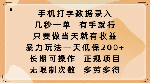 手机打字数据录入,几秒一单,有手就行,只要做当天就有收益,暴力玩法一天低保2张-揽颜居工坊