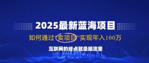 2025最新蓝海项目，零门槛轻松复制，月入10万+，新手也能操作！-揽颜居工坊