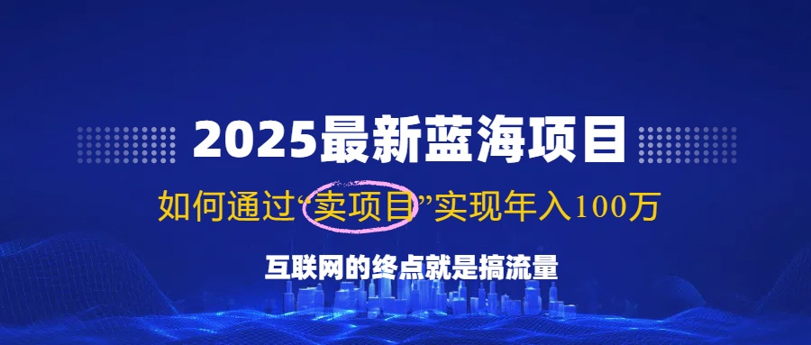 2025最新蓝海项目，零门槛轻松复制，月入10万+，新手也能操作！-揽颜居工坊