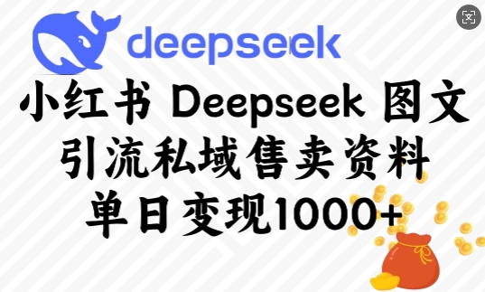 小红书Deepseek图文引流私域售卖资料，单日变现多张-揽颜居工坊