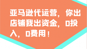 亚马逊代运营,你出店铺我出资金,0投入,0费用,无责任每天300分红,赢亏我承担-揽颜居工坊