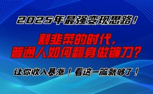 2025年最强变现思路，割韭菜的时代， 普通人如何翻身做镰刀？【揭秘】-揽颜居工坊