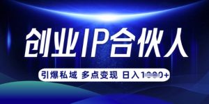 云帆·创业ip合伙人打造3.0，从0到1教你做网创，实现月入过W-揽颜居工坊
