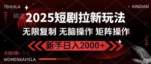 2025短剧拉新玩法，无需注册登录，无限0撸，无脑批量操作日入2000+-揽颜居工坊