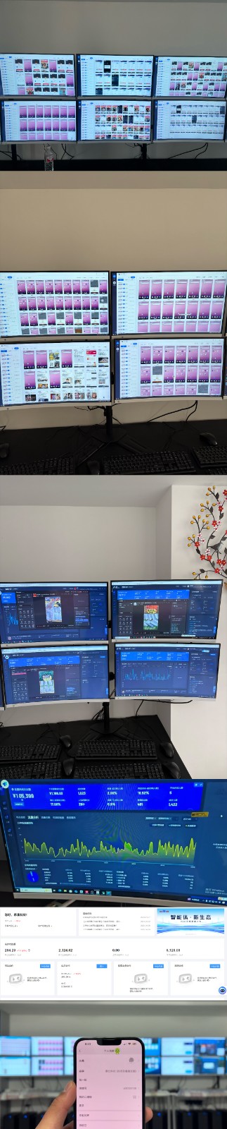 实操项目合集 挂机类型 直播类型 轻资产创业类型 课程分享各项目介绍和原理-揽颜居工坊