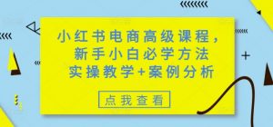 小红书电商高级课程，新手小白必学方法，实操教学+案例分析-揽颜居工坊