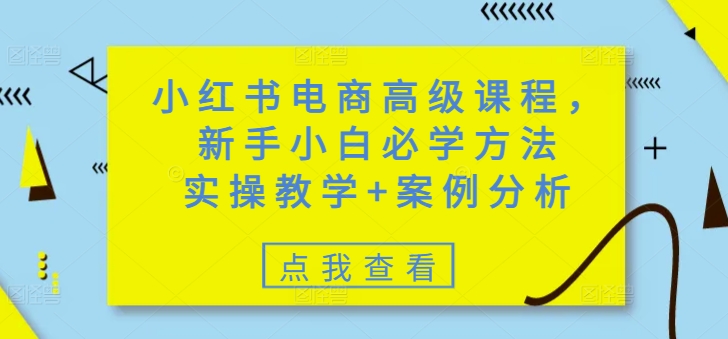 小红书电商高级课程，新手小白必学方法，实操教学+案例分析-揽颜居工坊