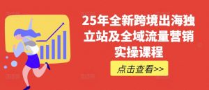 25年全新跨境出海独立站及全域流量营销实操课程，跨境电商独立站TIKTOK全域营销普货特货玩法大全-揽颜居工坊