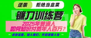 镰刀训练营超级IP合伙人，25年普通人如何通过“知识付费”实现逆袭-揽颜居工坊