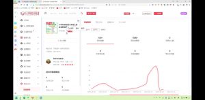 2025小红书虚拟电商实战课-揽颜居工坊