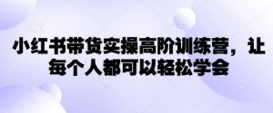 小红书带货实操高阶训练营，让每个人都可以轻松学会-揽颜居工坊