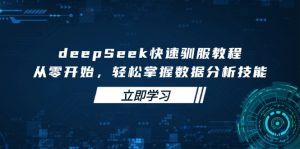 deepSeek快速驯服教程，从零开始，轻松掌握数据分析技能-揽颜居工坊