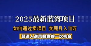 2025蓝海项目，普通人如何通过卖项目，实现月入过W，全过程【揭秘】-揽颜居工坊
