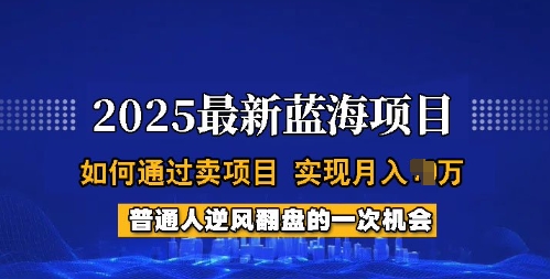 2025蓝海项目，普通人如何通过卖项目，实现月入过W，全过程【揭秘】-揽颜居工坊