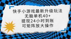 快手小游戏最新版升级玩法，新风口，无脑单机日入40+，可批量放大，小...-揽颜居工坊