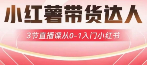 小红薯达人带货启航计划，3节直播课从0-1入门小红书-揽颜居工坊