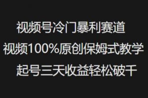 视频号冷门暴利赛道视频100%原创保姆式教学起号三天收益轻松破千-揽颜居工坊