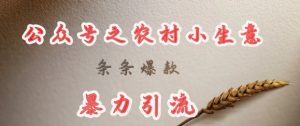 deepseek写农村小项目，条条爆款，暴力引流-揽颜居工坊