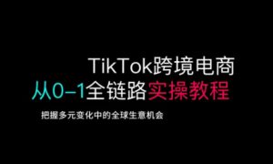 TikTok跨境电商从0-1全链路全方位实操教程，把握多元变化中的全球生意机会-揽颜居工坊