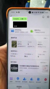 抖音暴力涨粉技术：一天轻松1-10万粉，技术不确定真实性，自测-揽颜居工坊