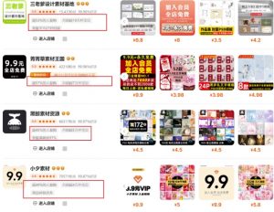 0成本虚拟项目实战手把手教你落地，单店月入5k-揽颜居工坊