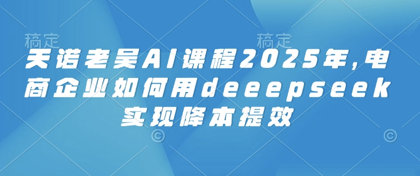 天诺老吴AI课程2025年，电商企业如何用deeepseek实现降本提效-揽颜居工坊