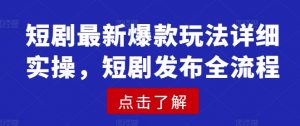 短剧最新爆款玩法详细实操,短剧发布全流程-揽颜居工坊