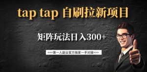 taptap拉新自刷项目，一个新用户14元，矩阵玩法日入300+-揽颜居工坊