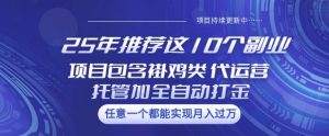 25年推荐这10个副业项目包含褂鸡类、代运营托管类、全自动打金类【揭秘】-揽颜居工坊