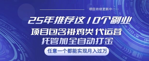 25年推荐这10个副业项目包含褂鸡类、代运营托管类、全自动打金类【揭秘】-揽颜居工坊