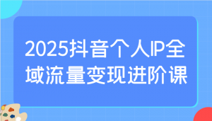 2025抖音个人IP全域流量变现进阶课：选爆品、抖音付费投流、千川投流实操及优化等-揽颜居工坊