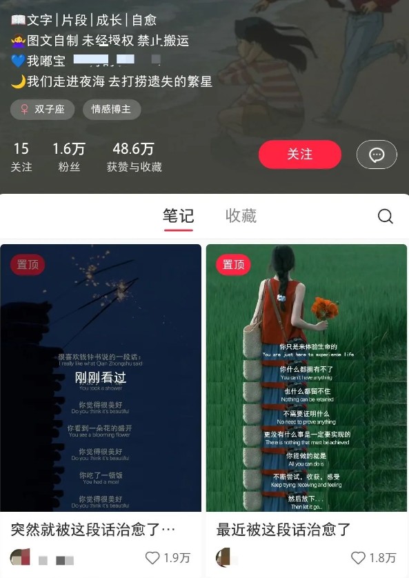 小红书治愈文案图文笔记，零门槛，一分钟制作轻松制作爆款作品月入万元-揽颜居工坊