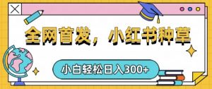 小红书种草，手机项目，日入3张，复制黏贴即可，可矩阵操作，动手不动脑【揭秘】-揽颜居工坊