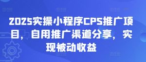 2025实操小程序CPS推广项目，自用推广渠道分享，实现被动收益-揽颜居工坊